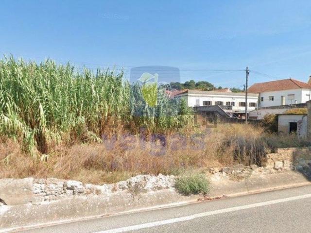 Casa venda em São João Da Ribeira, Santarém