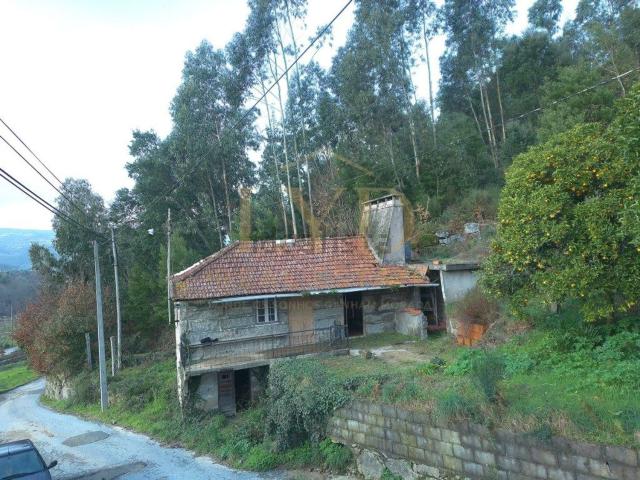 Casa venda em Catapeixe, Castelo De Paiva