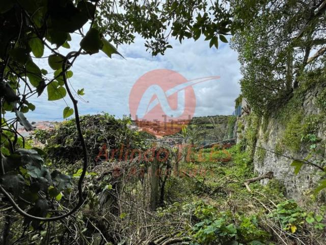 Casa venda em Açores, Ilha Terceira