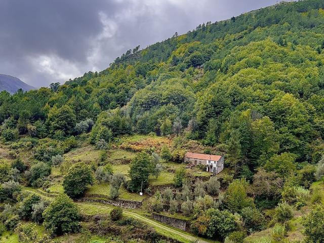 Casa venda em São Pedro, Guarda