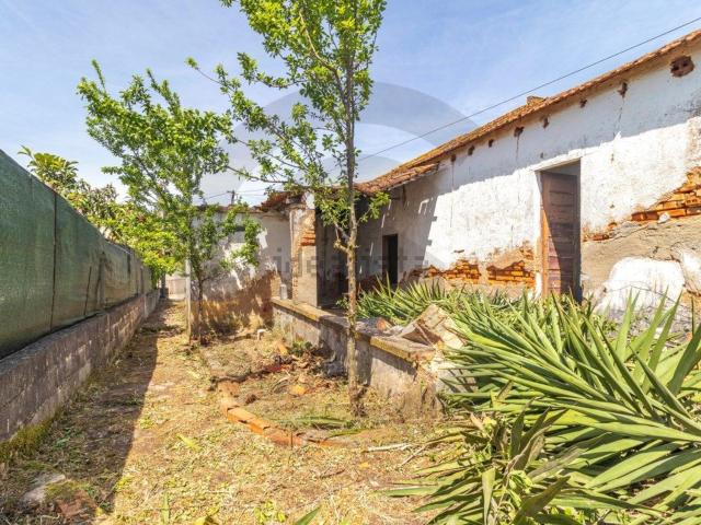 Propriedade venda em São Pedro De Tomar, Vermoeiros