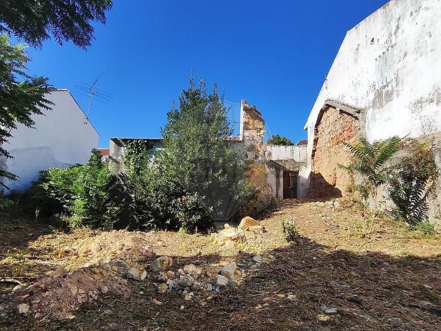 Casa venda em Torres Novas, Santarém