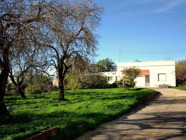 Casa venda em Cabeço da Câmara, Loulé