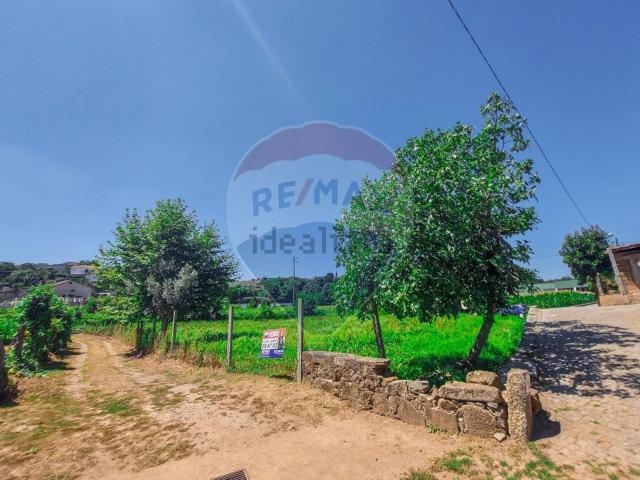 Casa venda em Braga (São Vicente), Braga