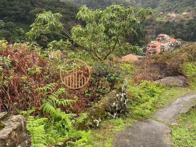 Casa venda em São Vicente, Ilha Da Madeira