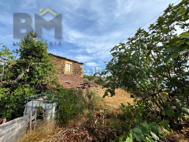 Casa venda em Salgueiro do Campo, Castelo Branco