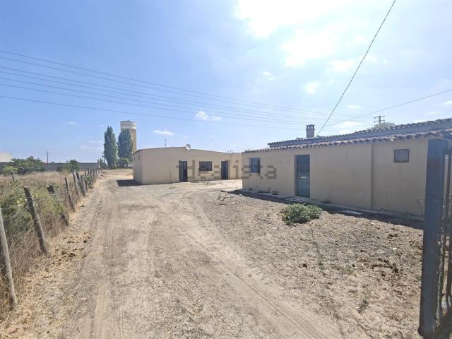 Casa venda em Salvaterra De Magos, Santarém