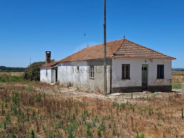 Casa venda em Salvaterra De Magos, Santarém