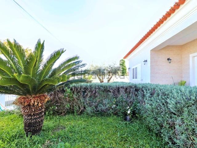 Casa venda em Porto Alto, Benavente