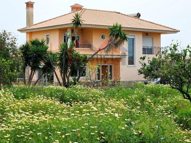 Casa venda em Falfosa, Faro
