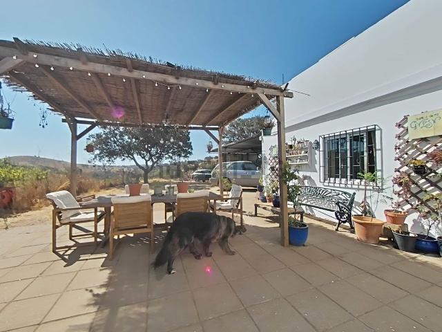 Casa venda em Almodôvar, Beja