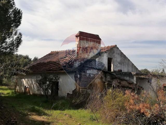 Casa venda em Constância, Santarém