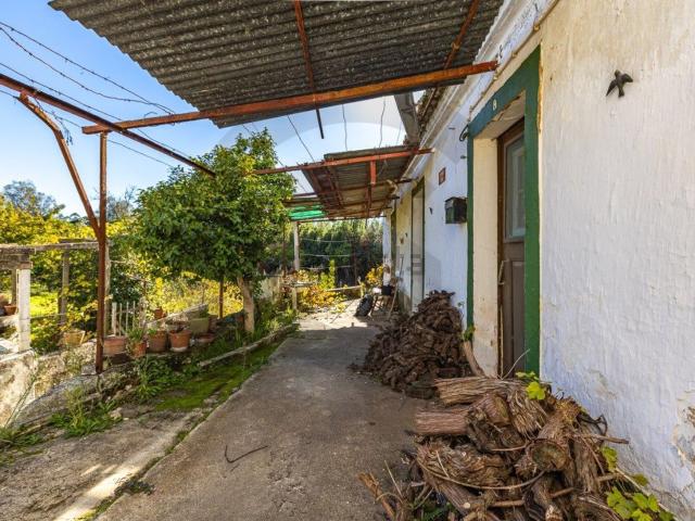 Casa venda em Constância, Santarém