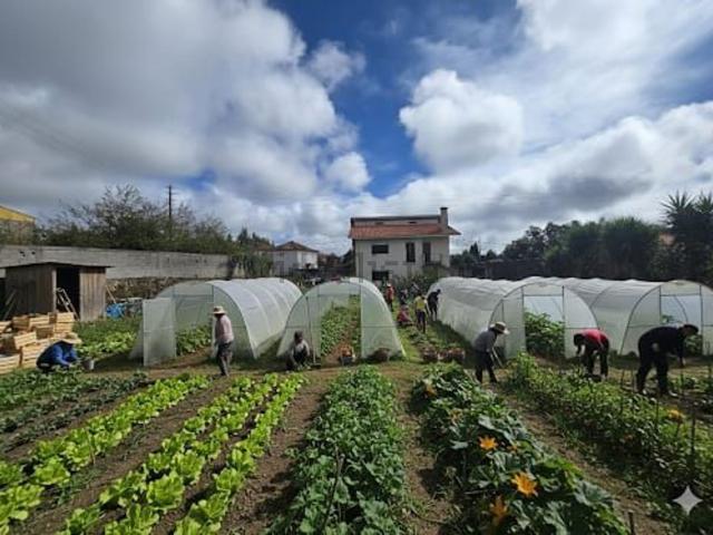 Casa venda em Santa Maria Da Feira, Aveiro