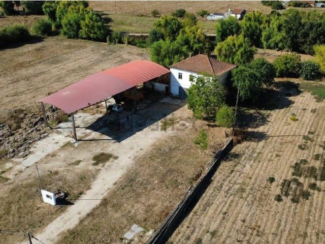 Casa venda em Torres Novas, Santarém