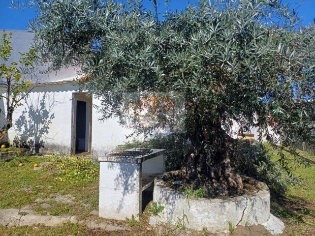 Casa venda em Alcácer Do Sal, Setúbal