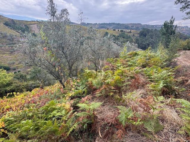 Casa venda em Sobre a Fonte, Peso Da Régua