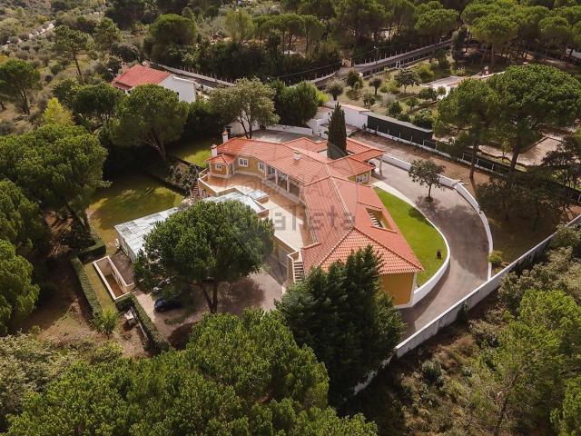 Casa venda em Peras Ruivas, Ourém