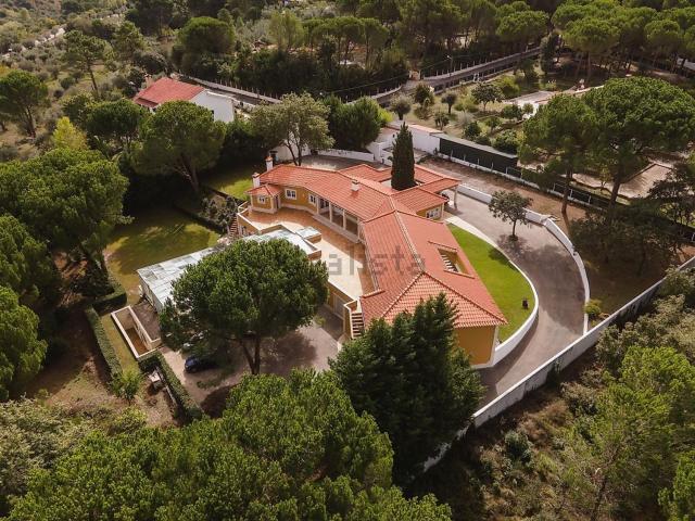 Casa venda em Peras Ruivas, Ourém