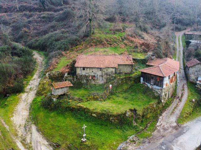 Propriedade venda em Serzedelo, Pepim