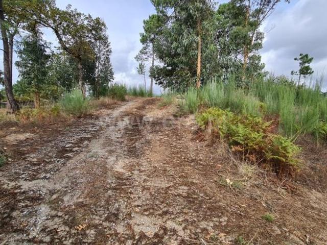 Moradia venda em Marco De Canaveses, Laudário