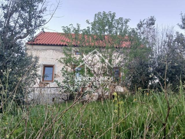 Casa venda em Castelo Branco, Proença-a-nova