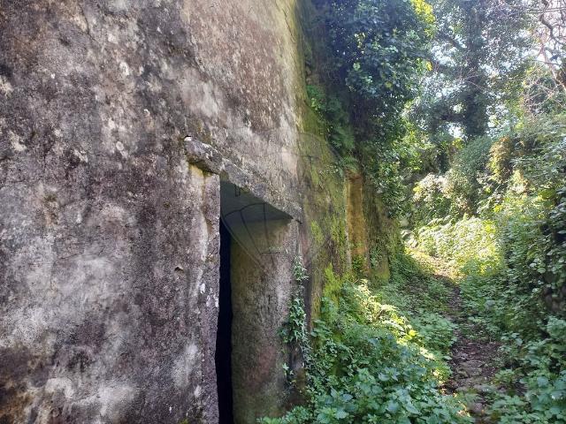 Casa venda em Alvaiázere, Leiria