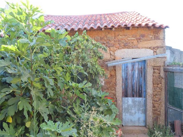 Casa venda em Castelo Branco
