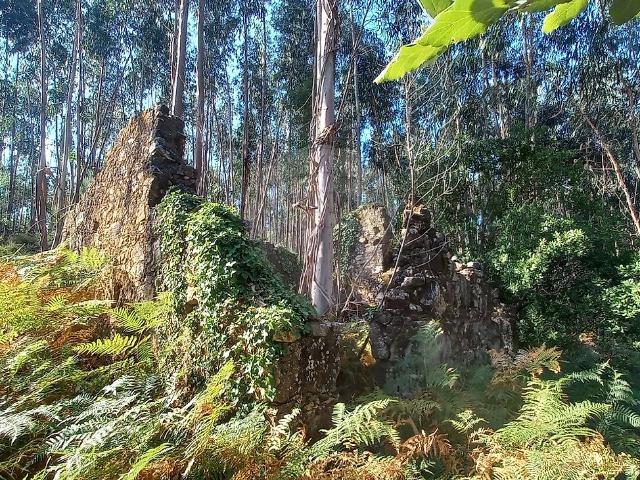 Casa venda em Castelo Branco, Cumeada