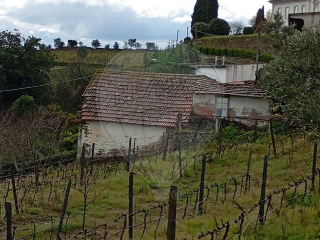 Casa venda em São Nicolau, Vila Real