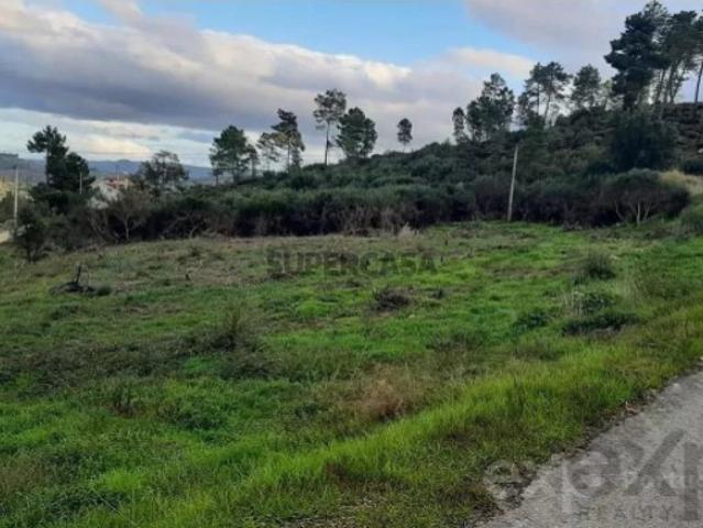 Terreno venda em Alijó, Vila Real