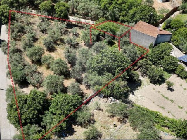 Casa venda em Vale de Prazeres e Mata da Rainha, Fundão