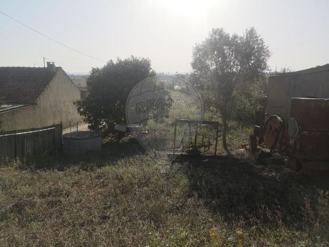 Casa venda em Entroncamento, Nossa Senhora De Fátima