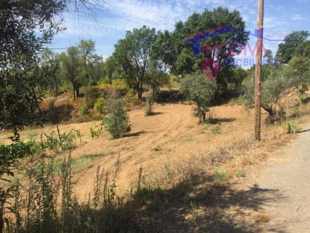 Casa venda em Castelo Branco, Oleiros