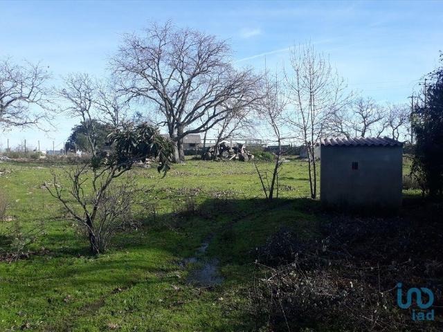 Casa venda em Santiago Maior, Castelo De Vide