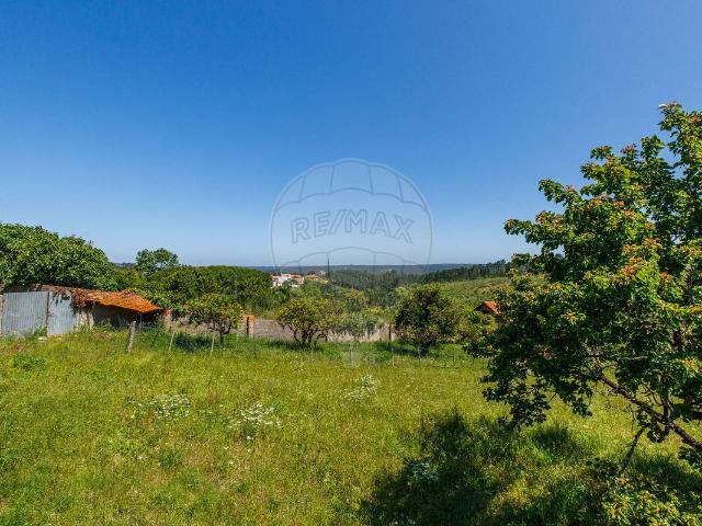 Casa venda em Alcobaça, Leiria