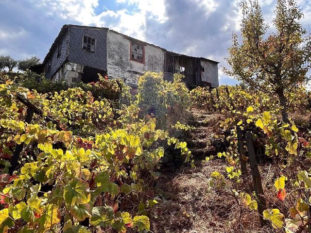 Casa venda em Cambres, Lamego