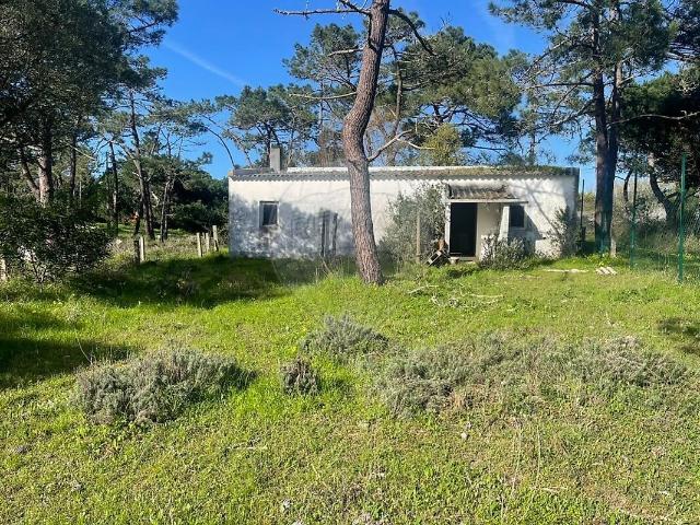 Casa venda em Pinhal da Nazaré, Colares