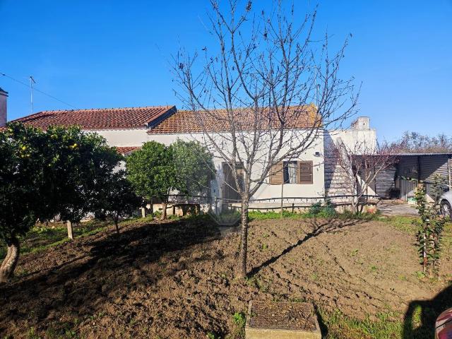 Casa venda em Fazendas do Cortiço, Montemor-o-novo