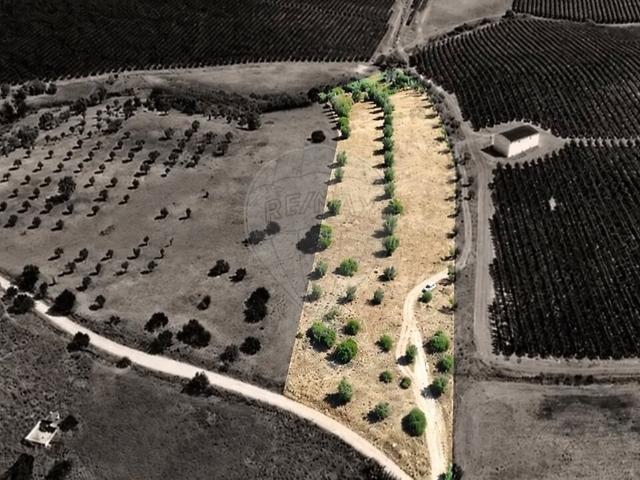 Casa venda em Torrão, Alcácer do Sal