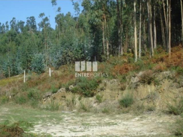 Casa venda em Vale da Estrada, Banho E Carvalhosa