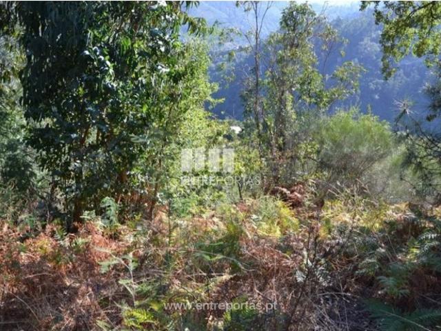 Casa venda em Magrelos, São Lourenço Do Douro