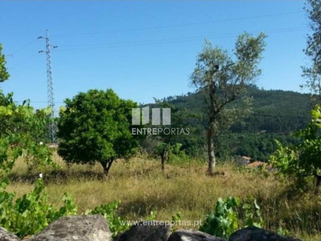 Casa venda em Magrelos, São Lourenço Do Douro