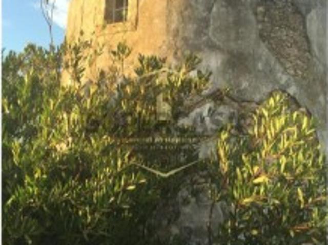 Casa venda em Arruda Dos Vinhos, S. Tiago dos Velhos