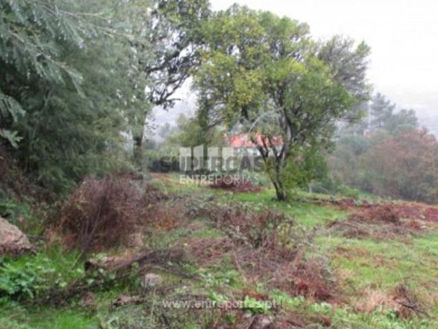 Casa venda em Marco De Canaveses, Fundo da Vila