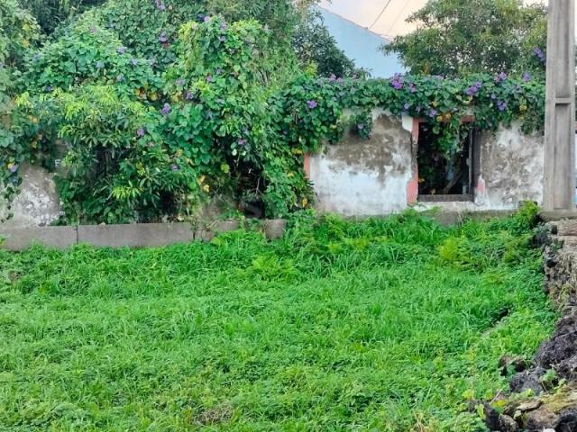 Casa venda em Açores, Lajes