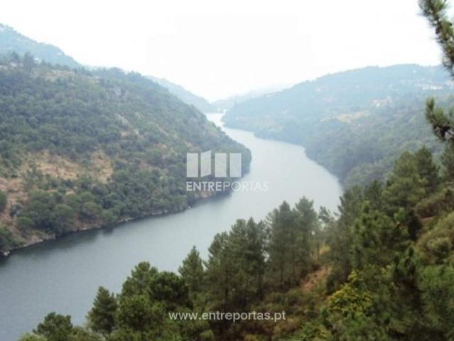 Casa venda em Souselo, Viseu