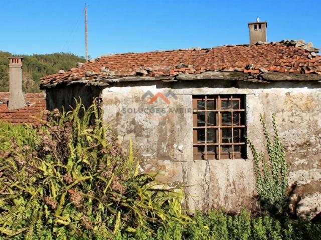 Casa venda em Sever Do Vouga, Aveiro