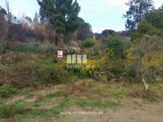 Casa venda em Penha Longa, Porto