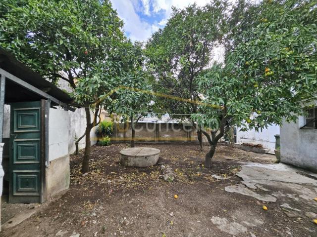 Casa venda em Azinhaga, Golegã